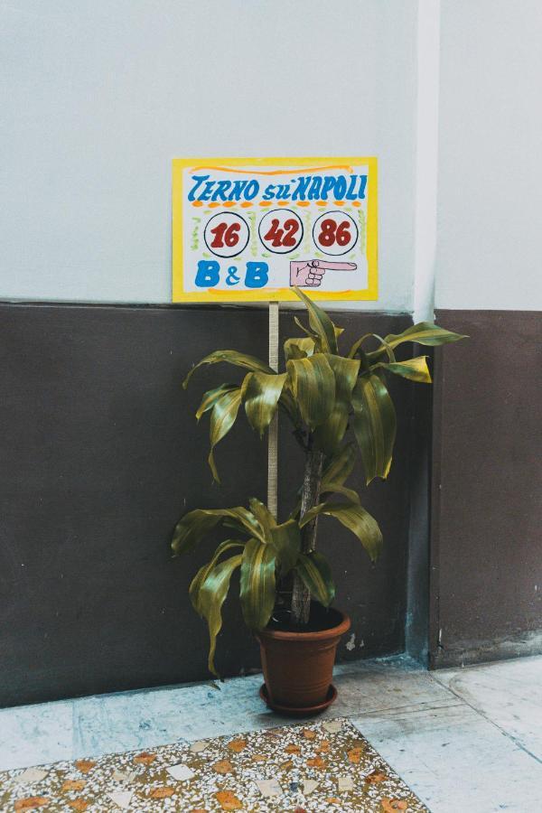 Terno Su Napoli Bed & Breakfast Exterior photo